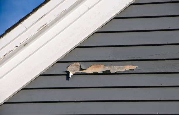 Best Shed Removal  in Clarksville, IN